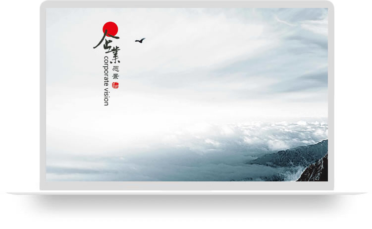公司愿景